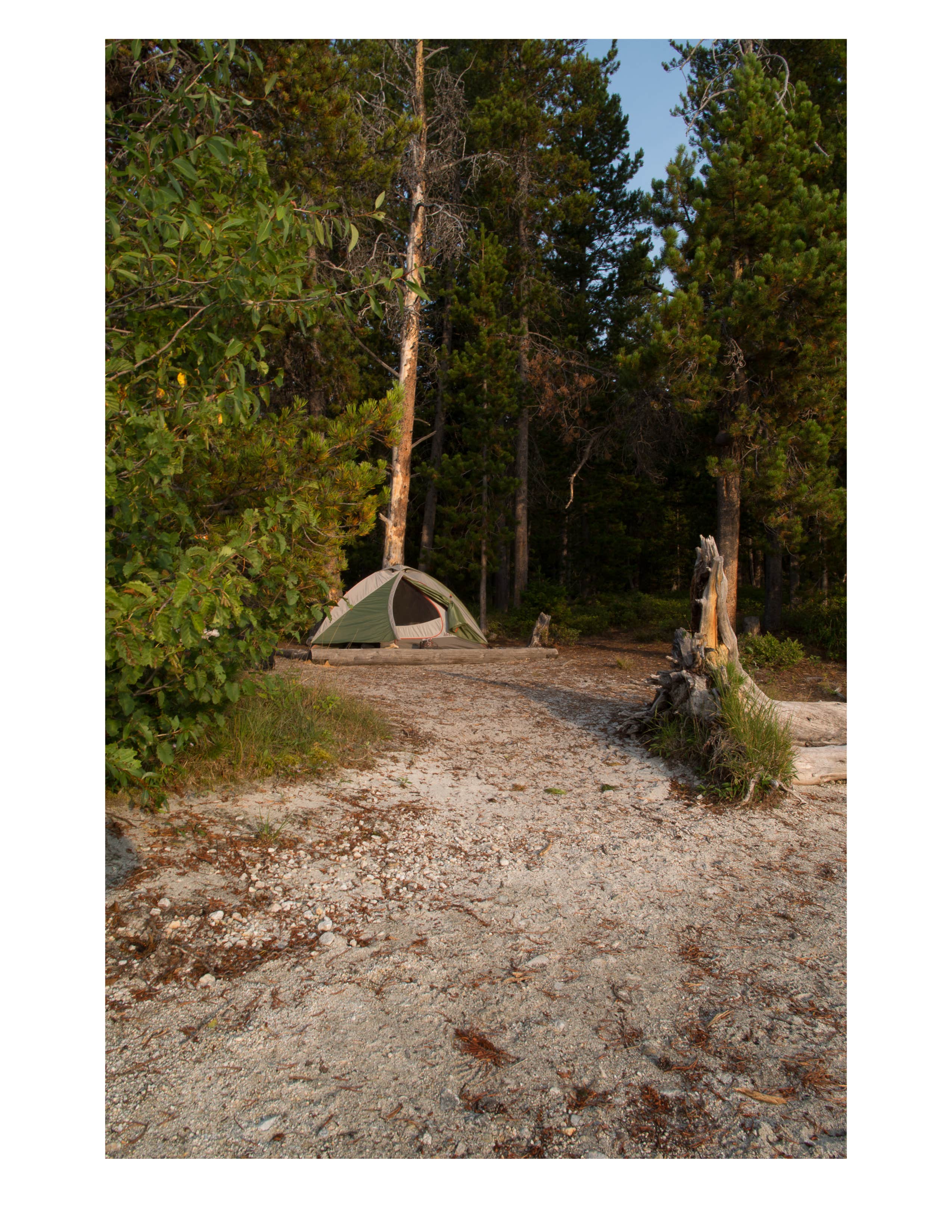 Cassandra B.'s photo of tent camping at Leigh Lake Patrol Cabin near Kelly, WY