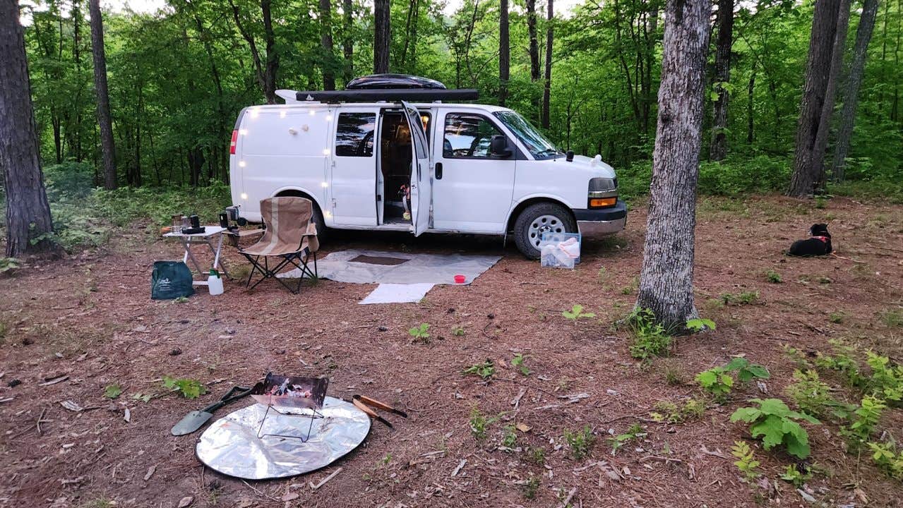 Camper-submitted photo at North Fork Creek Rd (FR779) Dispersed near Royal, AR
