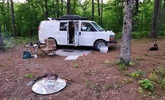 Fred S.'s photo of camping with pets at North Fork Creek Rd (FR779) Dispersed near Ouachita Lake