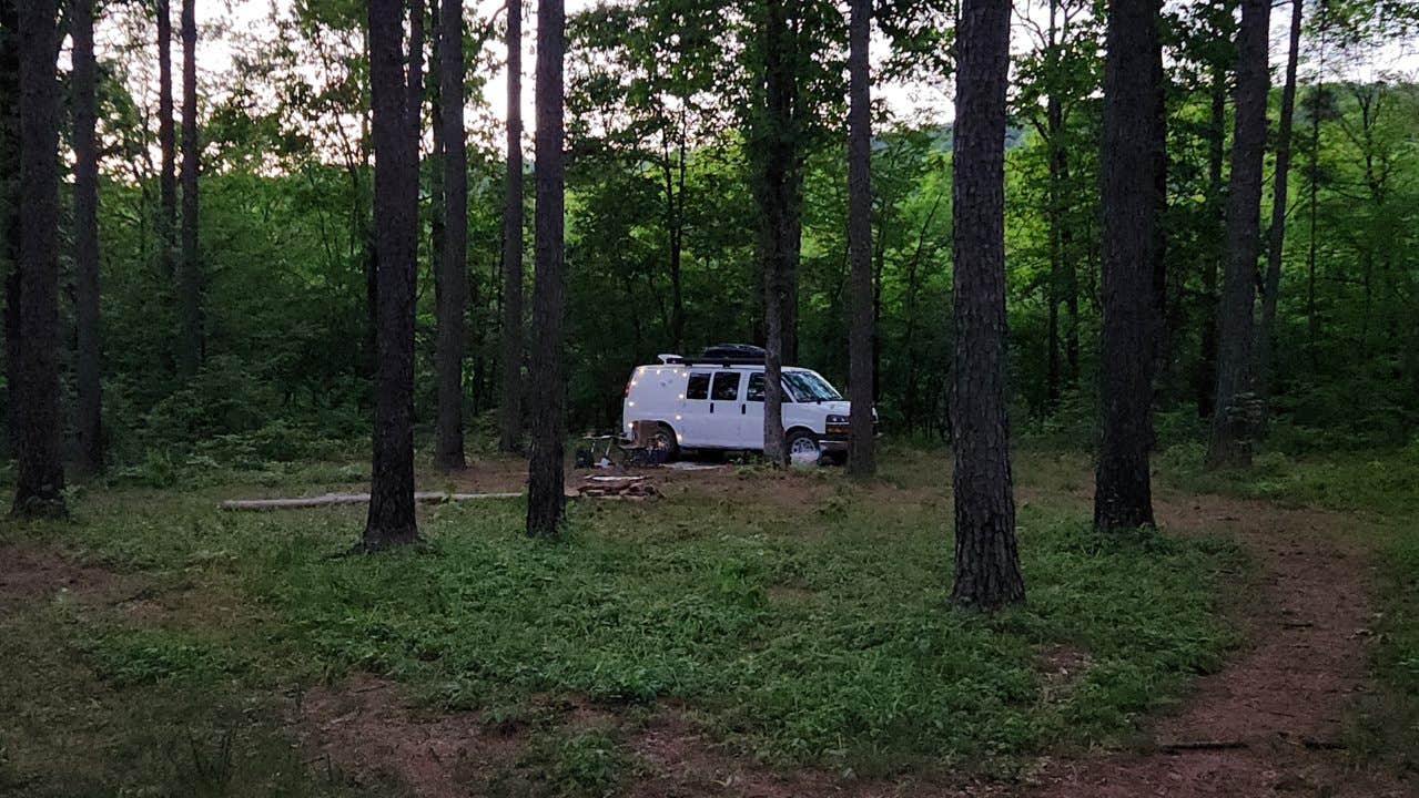 Camper-submitted photo at North Fork Creek Rd (FR779) Dispersed near Royal, AR