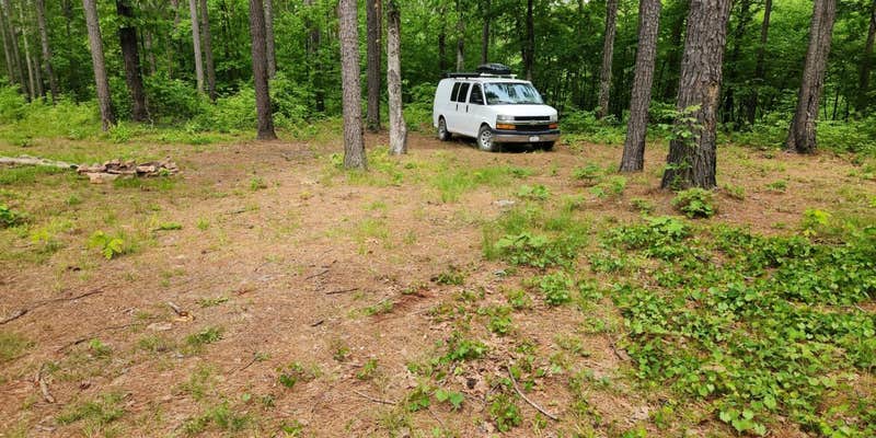 Camper submitted image from North Fork Creek Rd (FR779) Dispersed
