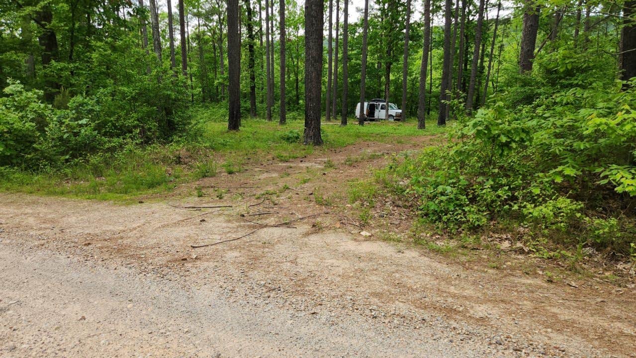 Camper-submitted photo at North Fork Creek Rd (FR779) Dispersed near Royal, AR