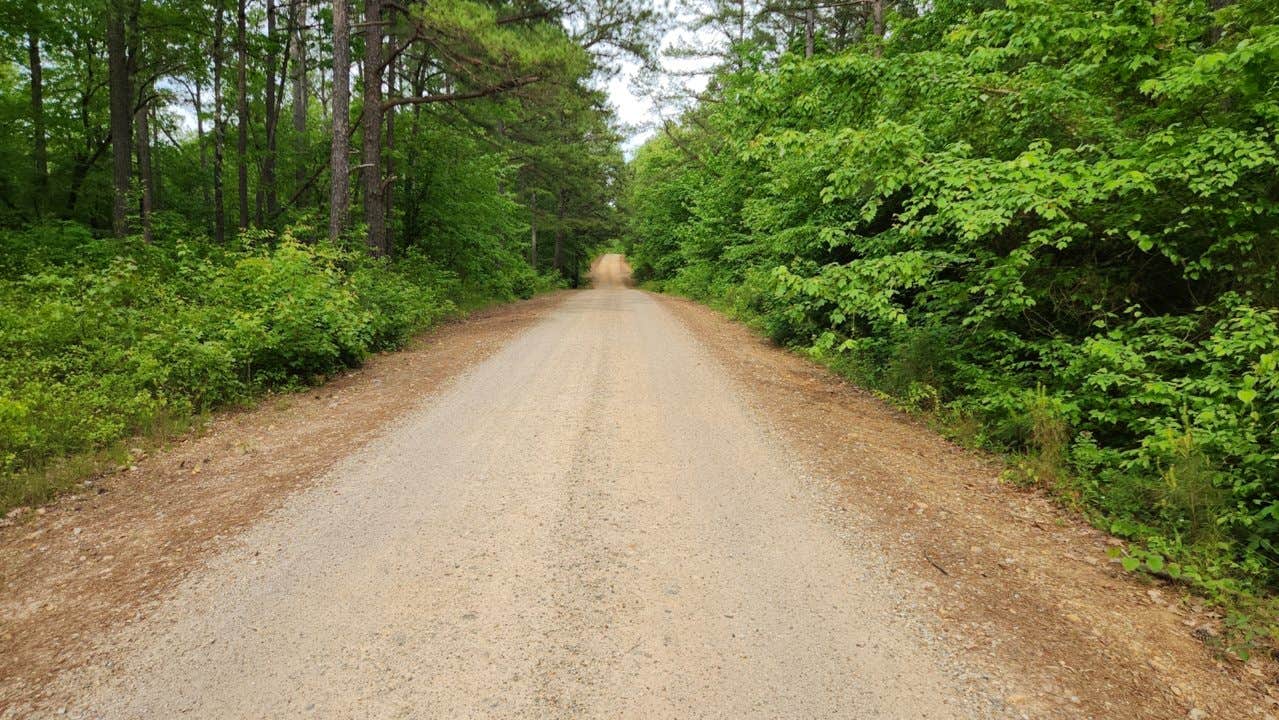 Camper-submitted photo at North Fork Creek Rd (FR779) Dispersed near Royal, AR