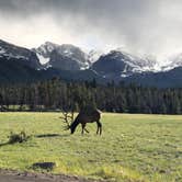 Review photo of Glacier Basin Campground — Rocky Mountain National Park by Cassandra B., July 26, 2019