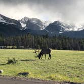 Review photo of Glacier Basin Campground — Rocky Mountain National Park by Cassandra B., July 26, 2019