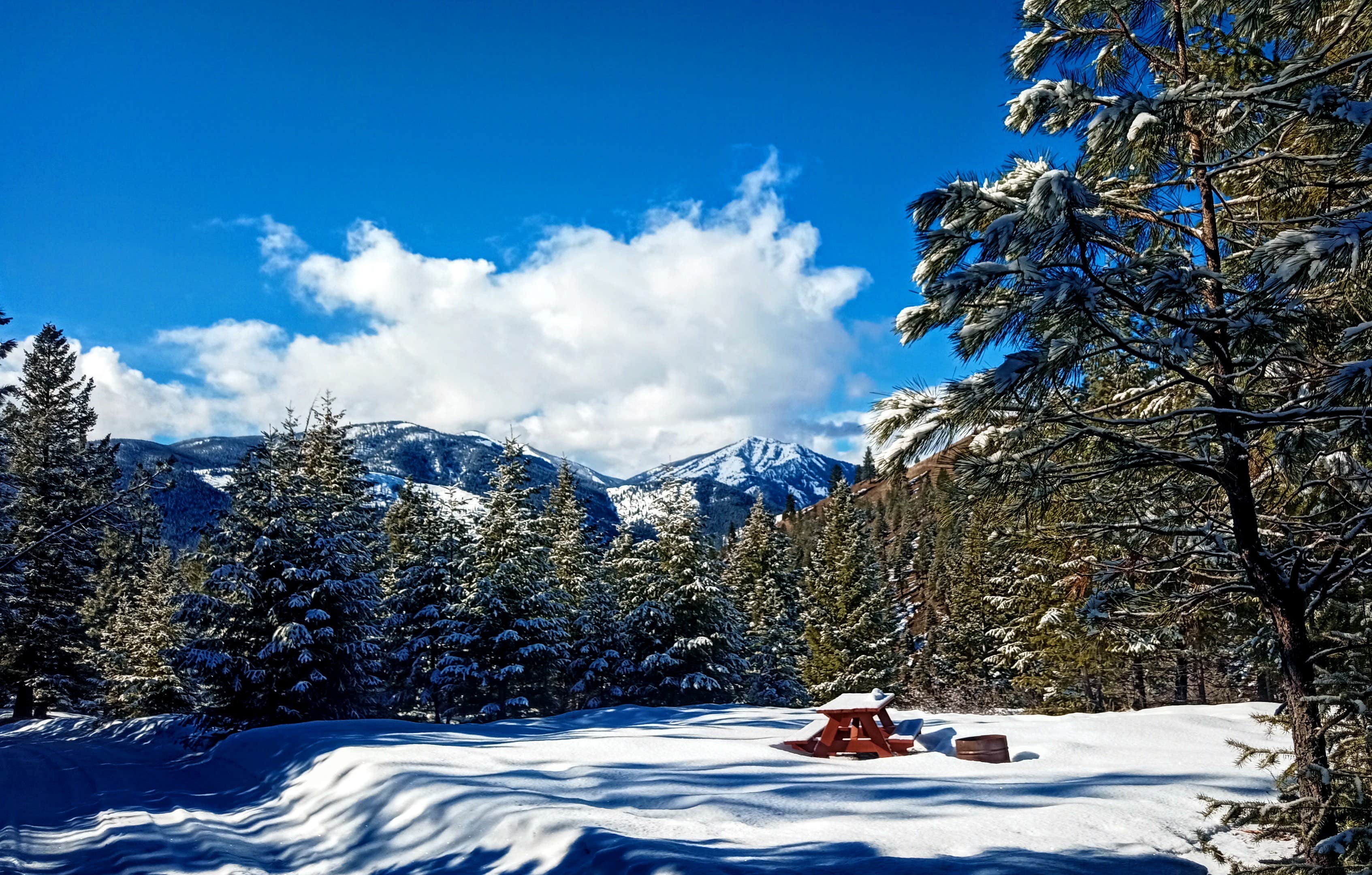 Camper-submitted photo at The Sanctuary Campground near Lolo National Forest