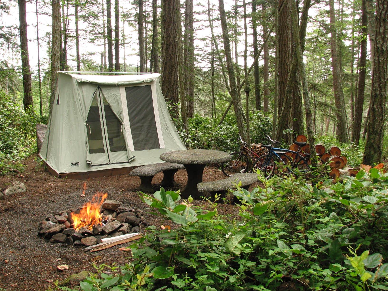 Nancy S.'s photo of tent camping at Evergreen Campground near Anacortes, WA