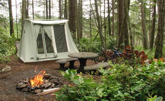 Nancy S.'s photo of tent camping at Evergreen Campground near Blaine, WA