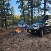 Review photo of Jacob Lake 89A Dispersed by Walther D., June 6, 2025