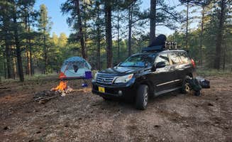 Walther D.'s photo of a dispersed camping area at Jacob Lake 89A Dispersed near Jacob Lake, AZ