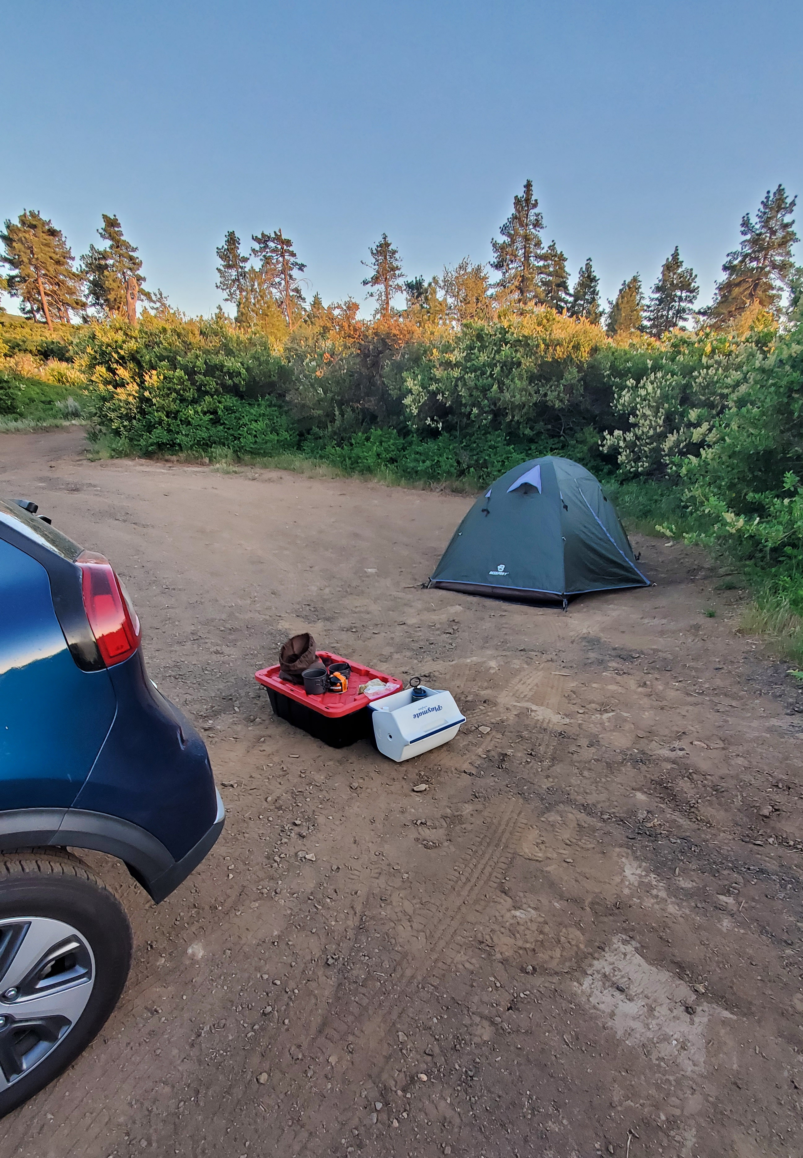 Camper-submitted photo at Pine Creek Road Camp near Julian, CA