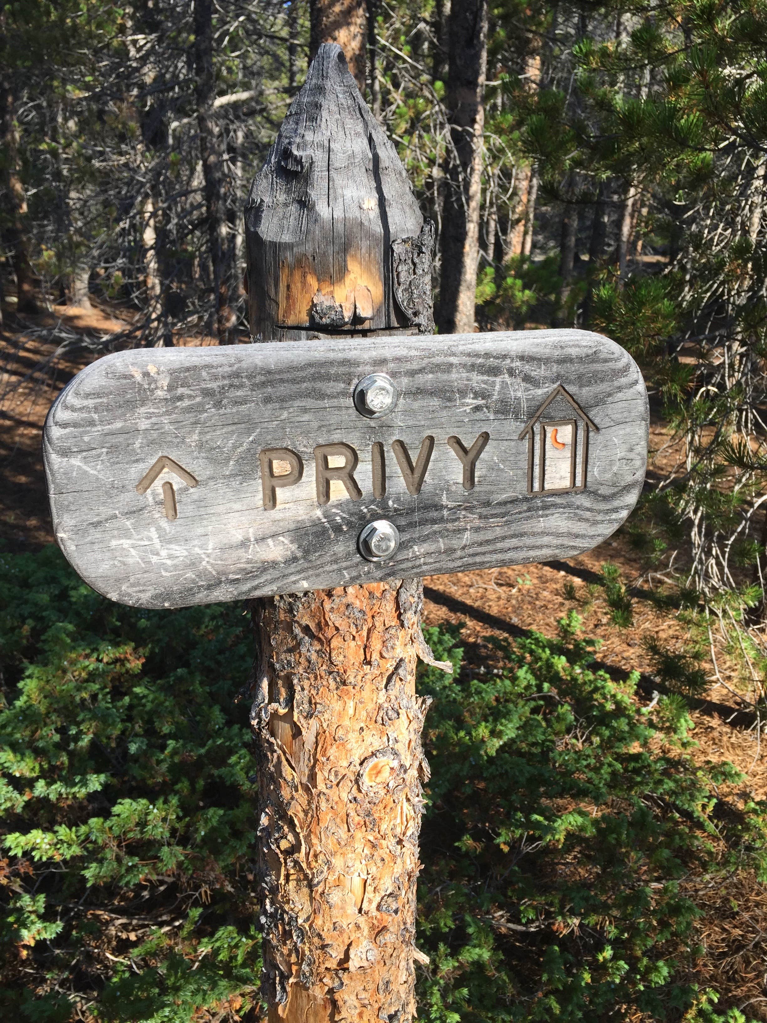 Camper submitted image from Over the Hill Backcountry Campsite — Rocky Mountain National Park - 3