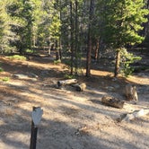 Review photo of Over the Hill Backcountry Campsite — Rocky Mountain National Park by Cassandra B., July 26, 2019