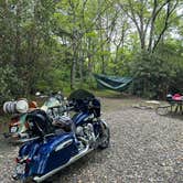 Review photo of Mile High Campground — Great Smoky Mountains National Park by Gregory P., June 7, 2025