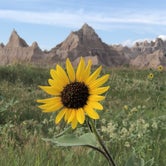 Review photo of Cedar Pass Campground — Badlands National Park by Lee D., July 26, 2019