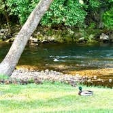 Review photo of Creekside Campground by Matt S., June 8, 2025