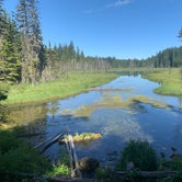 Review photo of Clackamas Lake by Mica Z., July 26, 2019