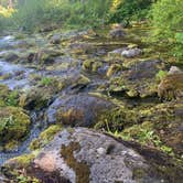 Review photo of Clackamas Lake by Mica Z., July 26, 2019