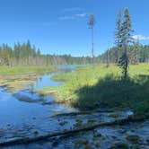 Review photo of Clackamas Lake by Mica Z., July 26, 2019