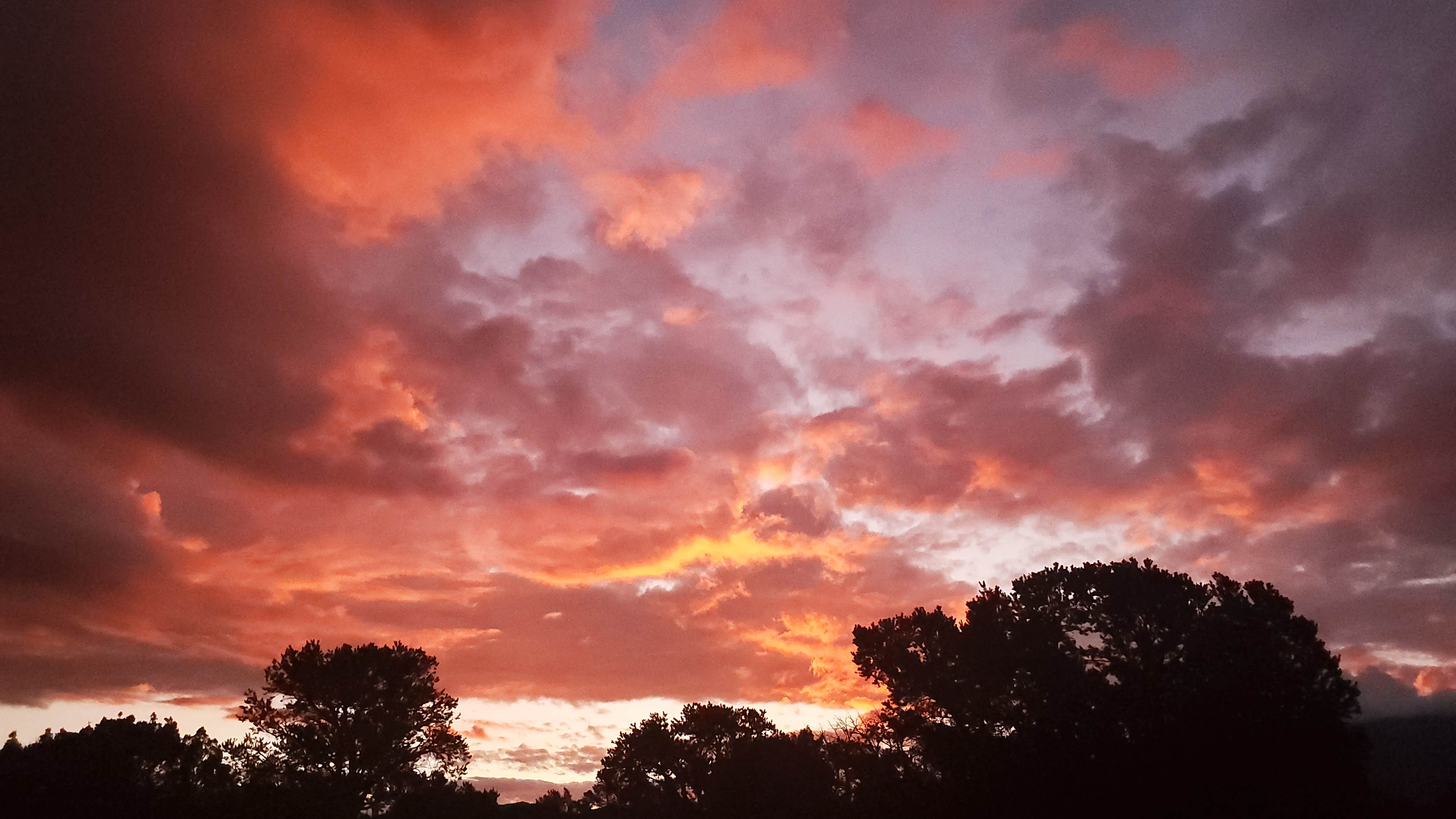 Camper-submitted photo at BLM Wild Rivers Recreation Area near Arroyo Hondo, NM