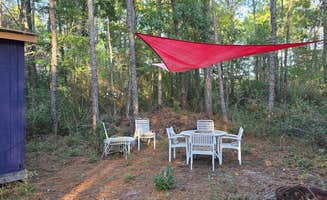 Jennifer S.'s photo at Black Barn Farm near Beaufort, NC