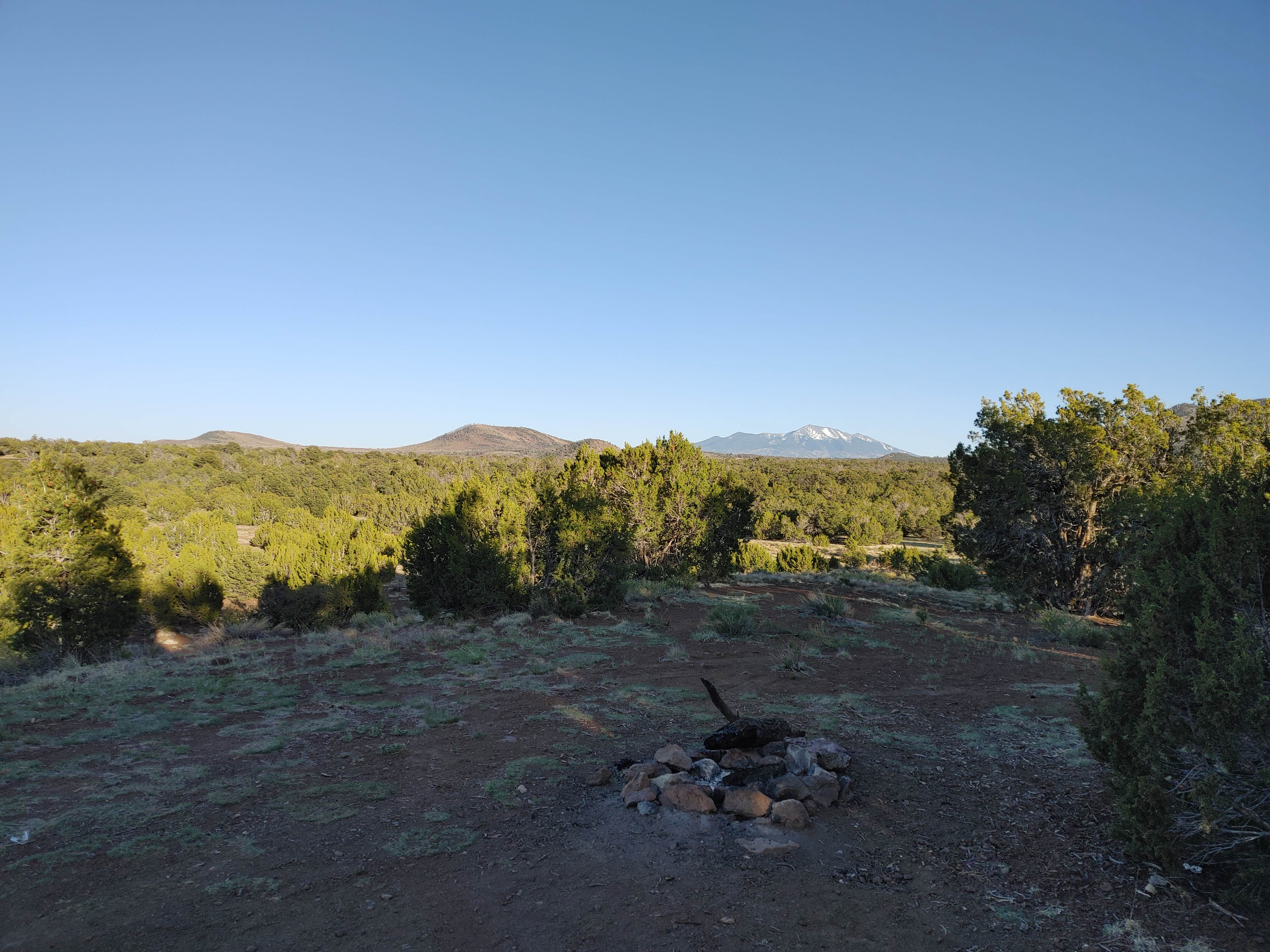 Camper-submitted photo at Red Mountain TH near Kaibab National Forest
