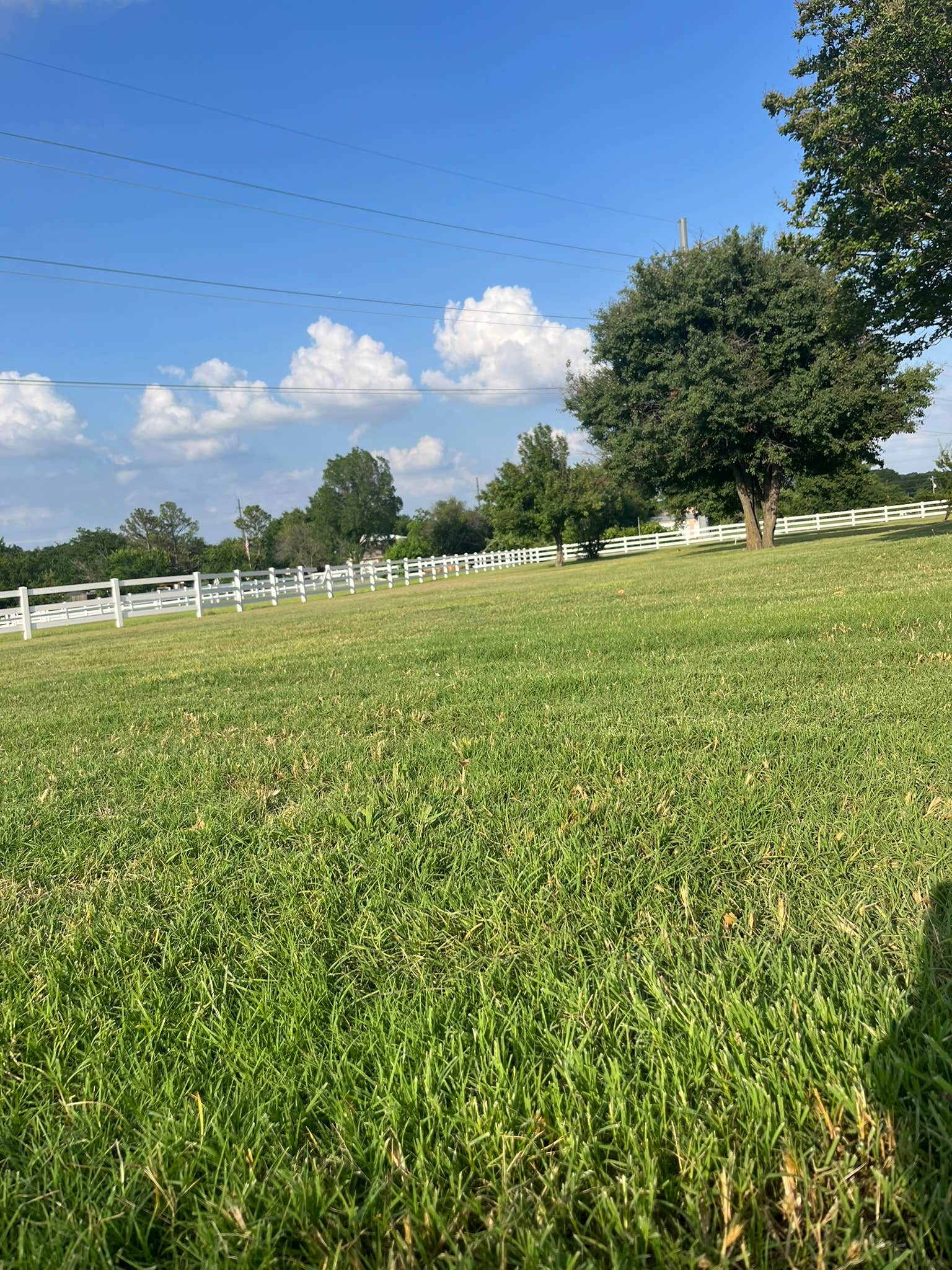 Camper submitted image from Benson Homestead and Stables - 2