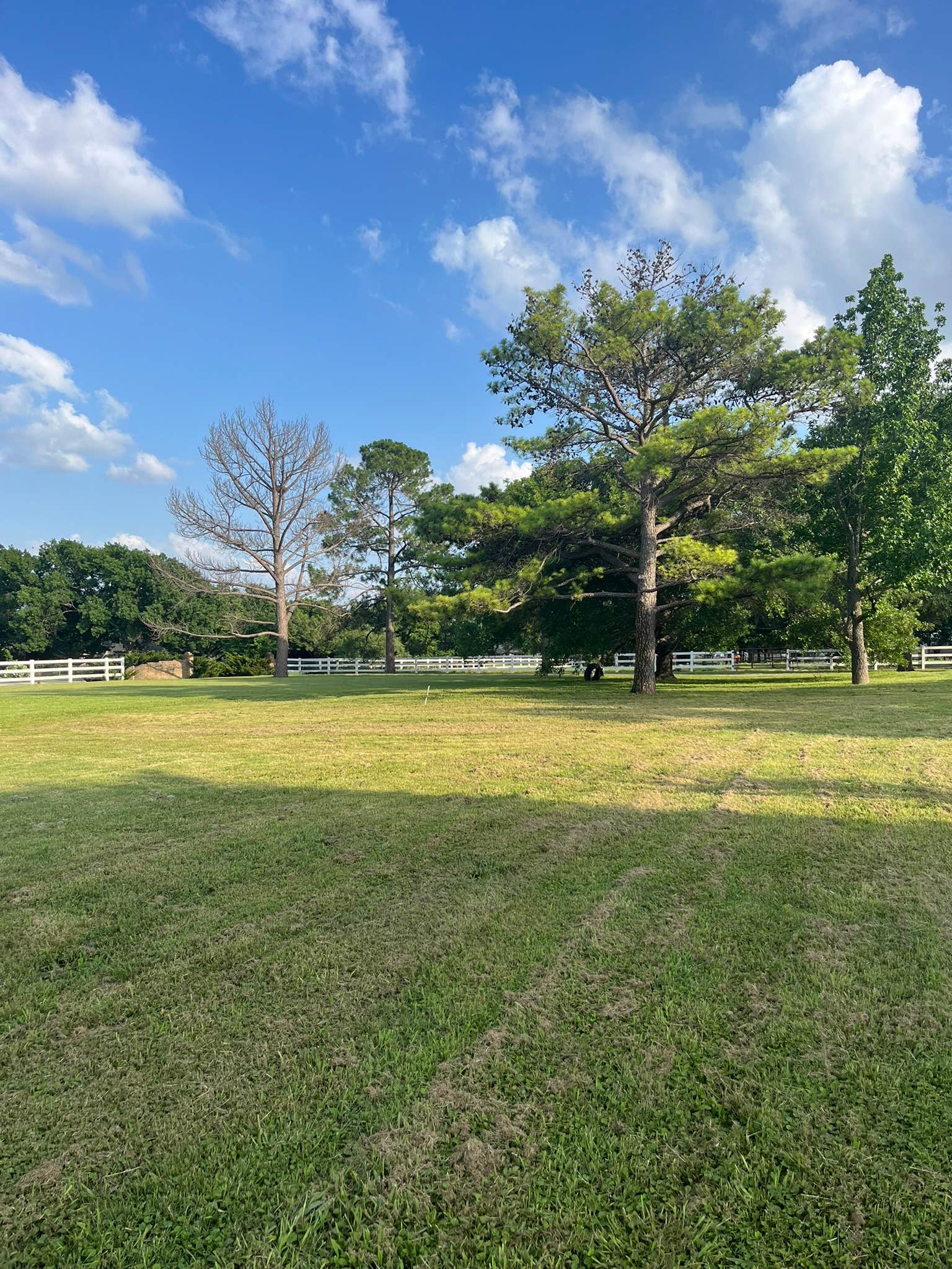 Camper-submitted photo at Benson Homestead and Stables near Fort Worth, TX