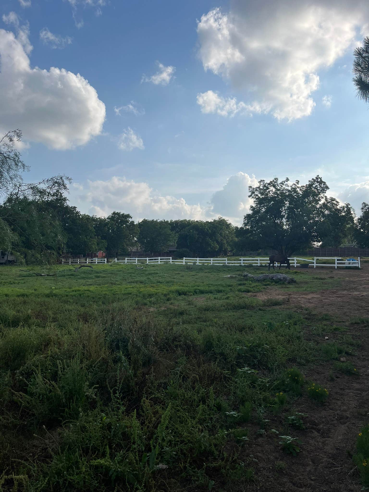 Mike B.'s photo of camping with a horse at Benson Homestead and Stables near Granbury, TX