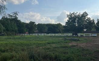Mike B.'s photo of camping with a horse at Benson Homestead and Stables near Mineral Wells, TX