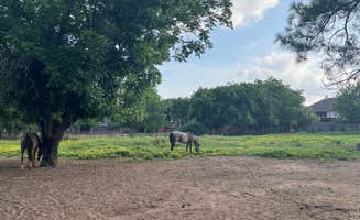 Mike B.'s photo of camping with a horse at Benson Homestead and Stables near Wilmer, TX