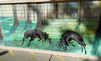 Laura M.'s photo of camping with pets at Wenatchee River County Park near Wenatchee, WA