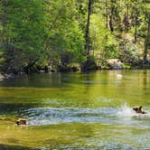 Review photo of Boards Crossing by Holly M., June 10, 2025