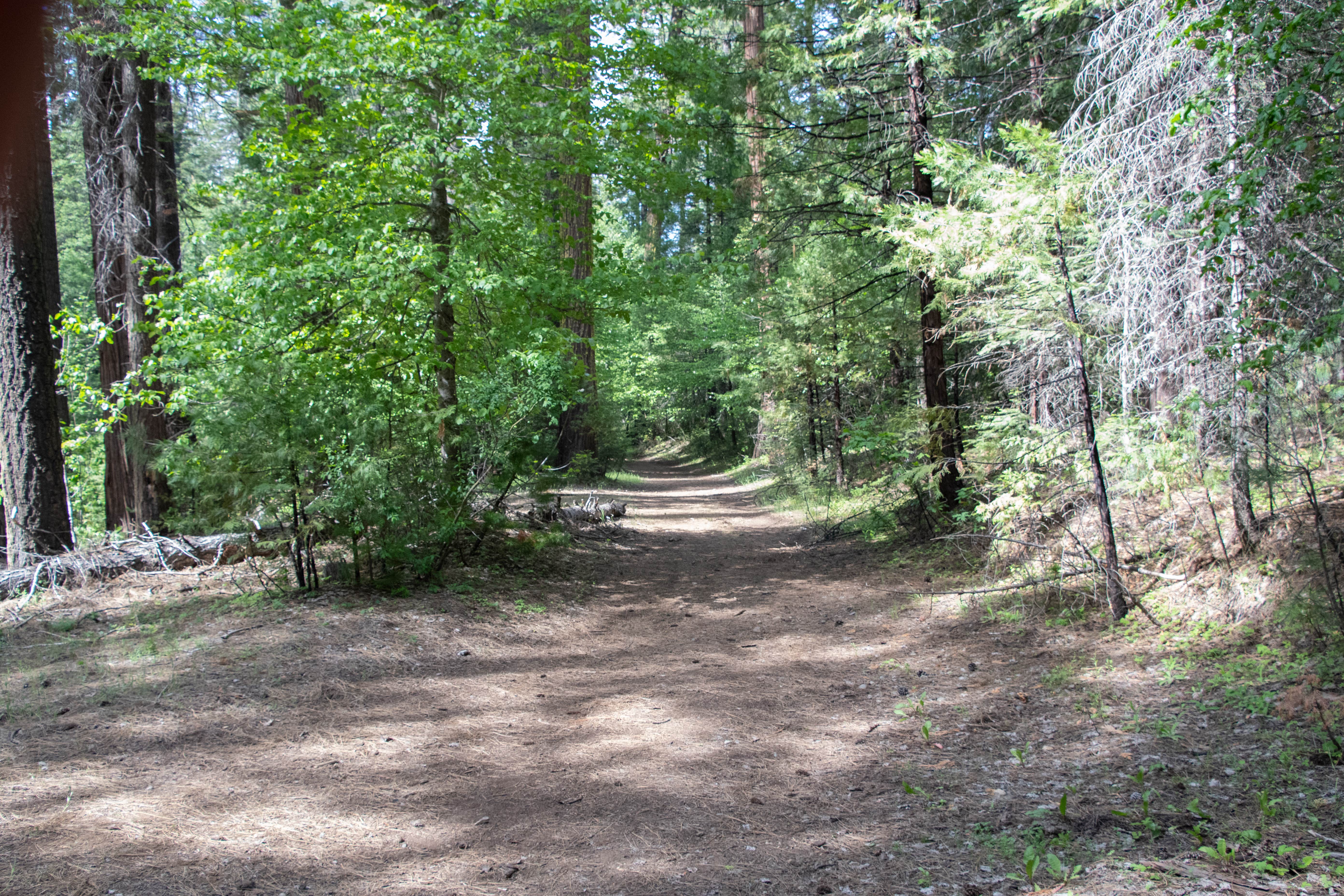 Camper-submitted photo at Boards Crossing near Angels, CA