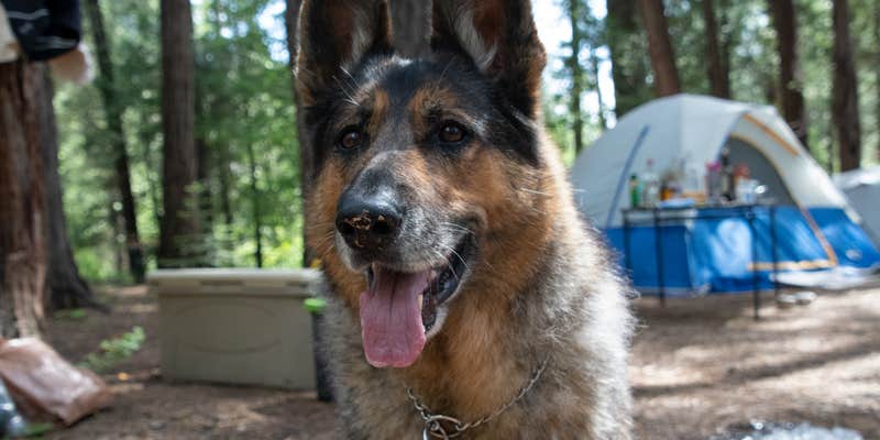 Camper submitted image from Boards Crossing