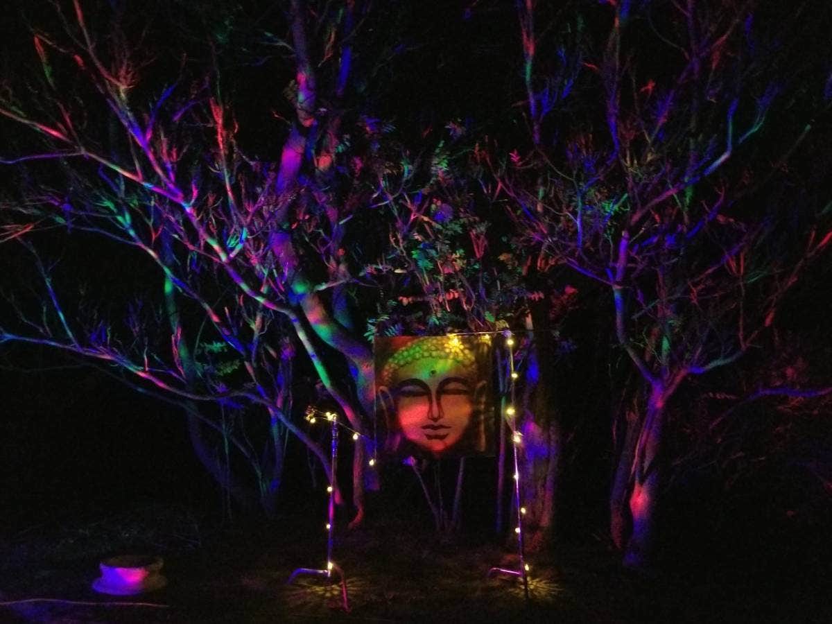 Camper-submitted photo at Desert Rose Collective RV Parking near Pioneertown, CA