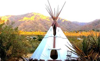 Caylee H.'s photo at Desert Rose Collective RV Parking near Whitewater, CA