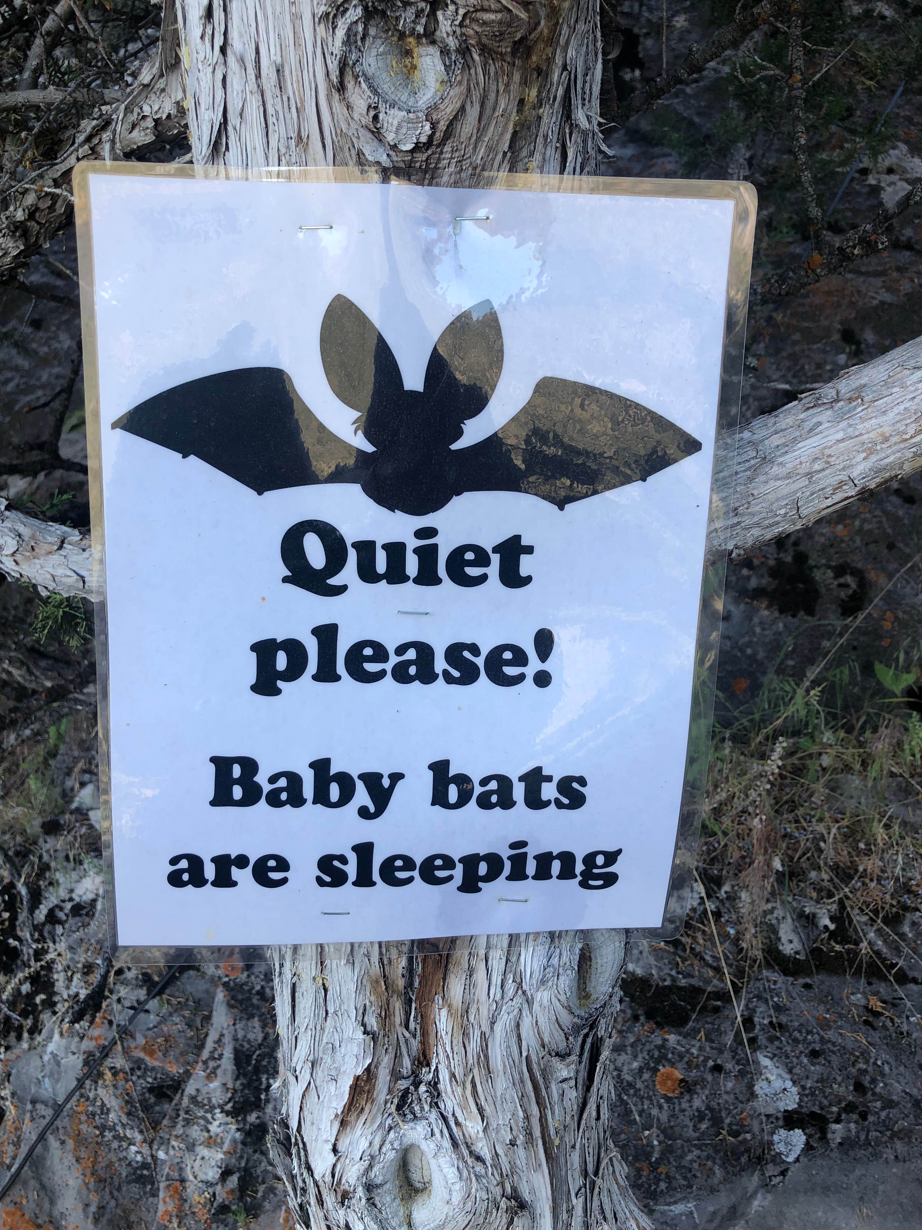 Camper submitted image from Lewis & Clark Caverns State Park — Lewis and Clark Caverns State Park - 4