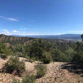 Review photo of Mt. Shavano Wildlife Area by Sheridan B., July 26, 2019