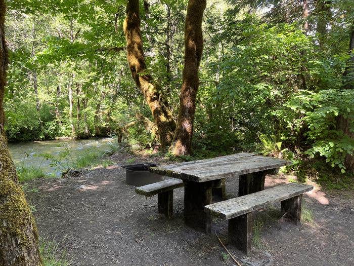 Camper submitted image from Horse Creek Group Campground - 2