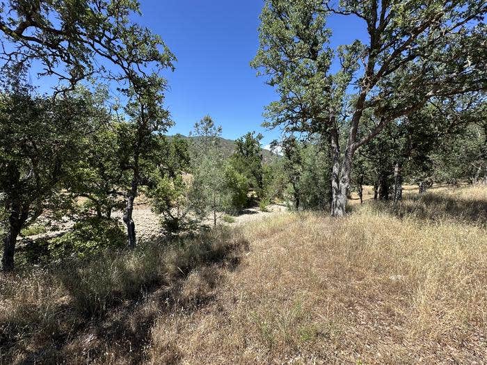 Camper submitted image from American Canyon Campground — Los Padres National Forest - 1