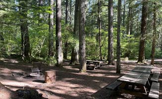 The Dyrt's photo at Willamette National Forest Roaring River Group Campground near Deschutes National Forest