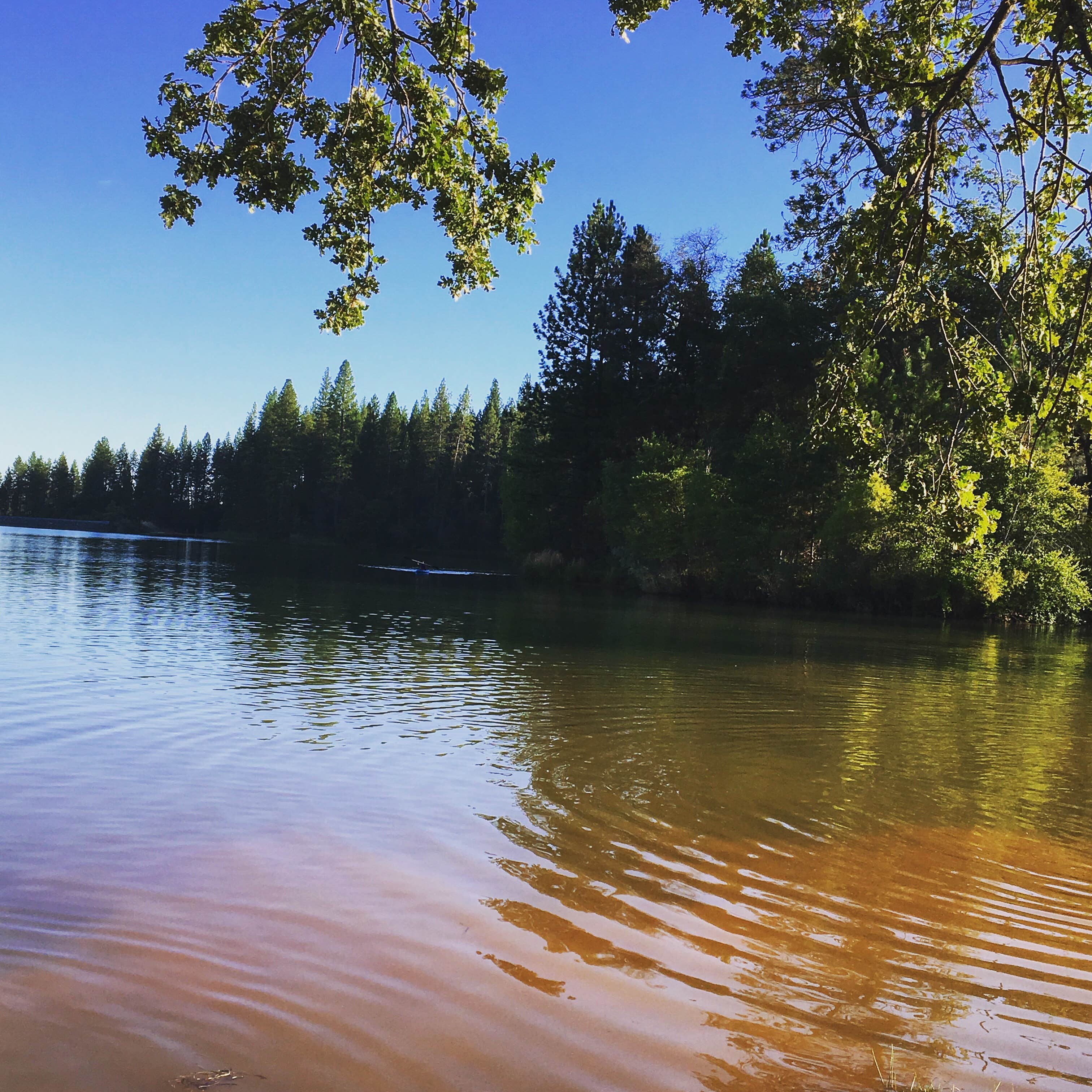 Camper-submitted photo at Lake Francis Resort near Camptonville, CA