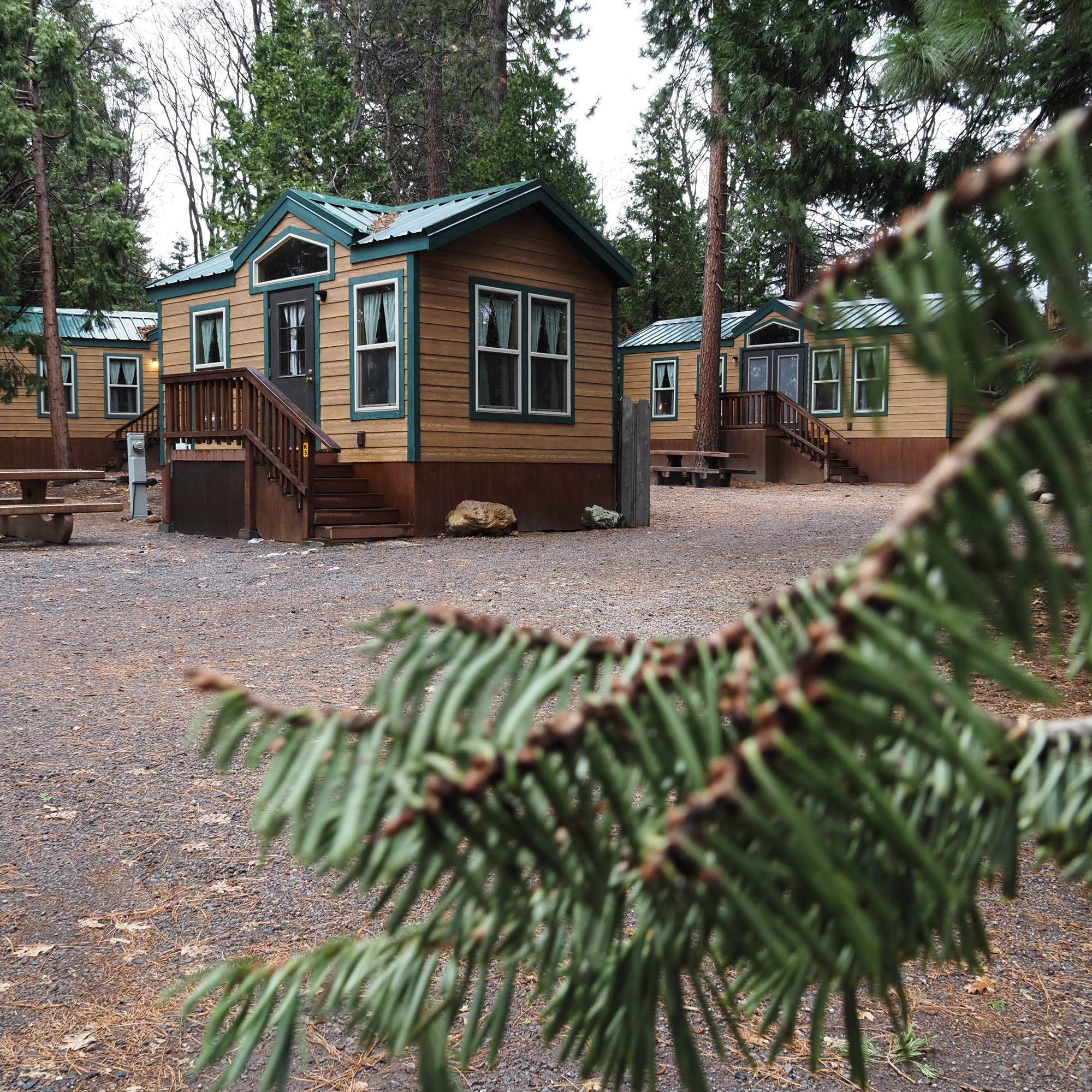 Camper-submitted photo at Mount Shasta City KOA Holiday near Callahan, CA