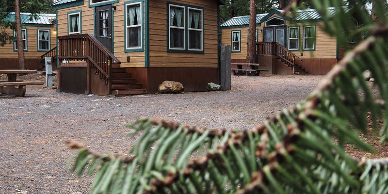 Camper submitted image from Mount Shasta City KOA Holiday