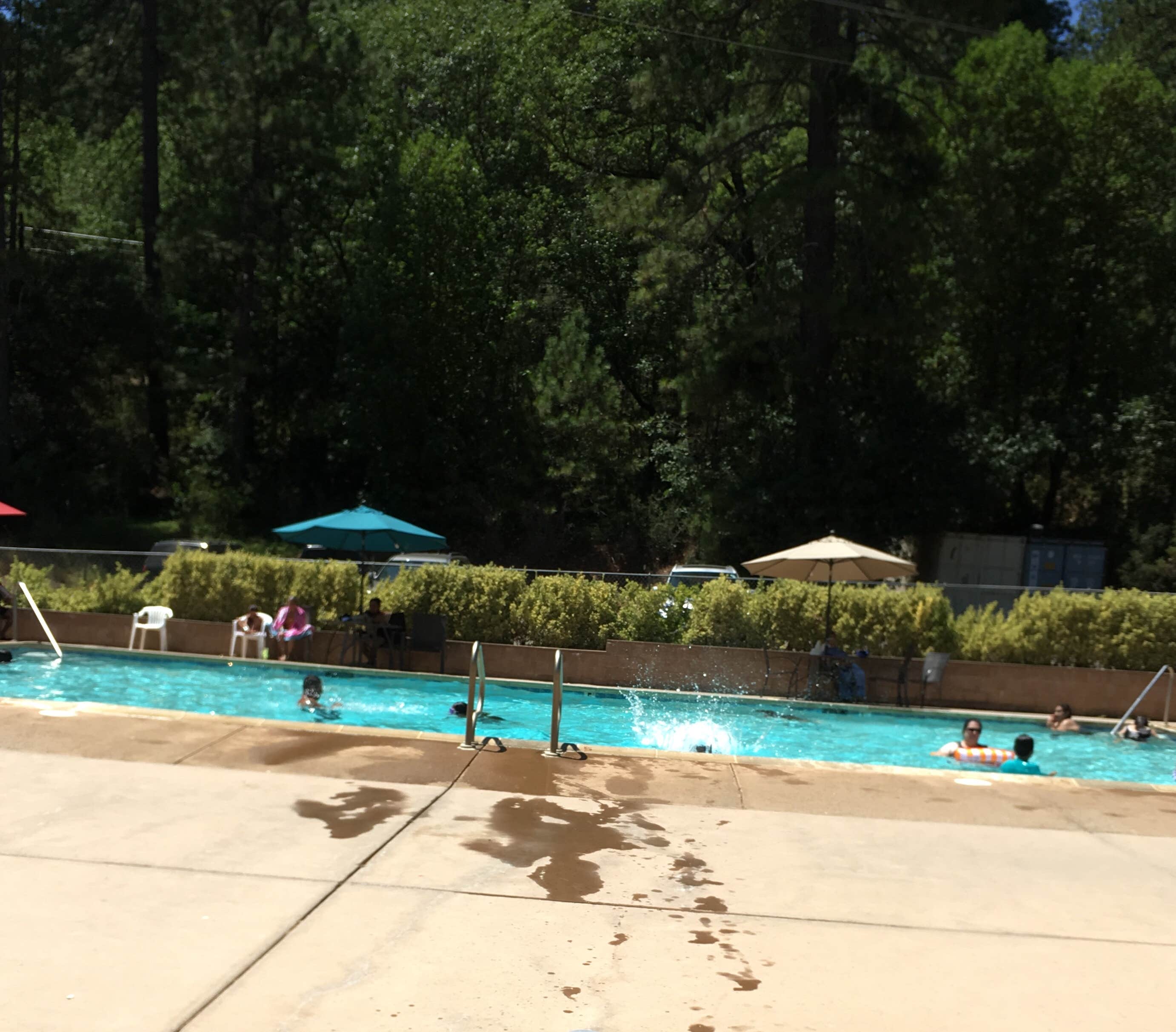 Lake Francis Resort Camping Dobbins, CA