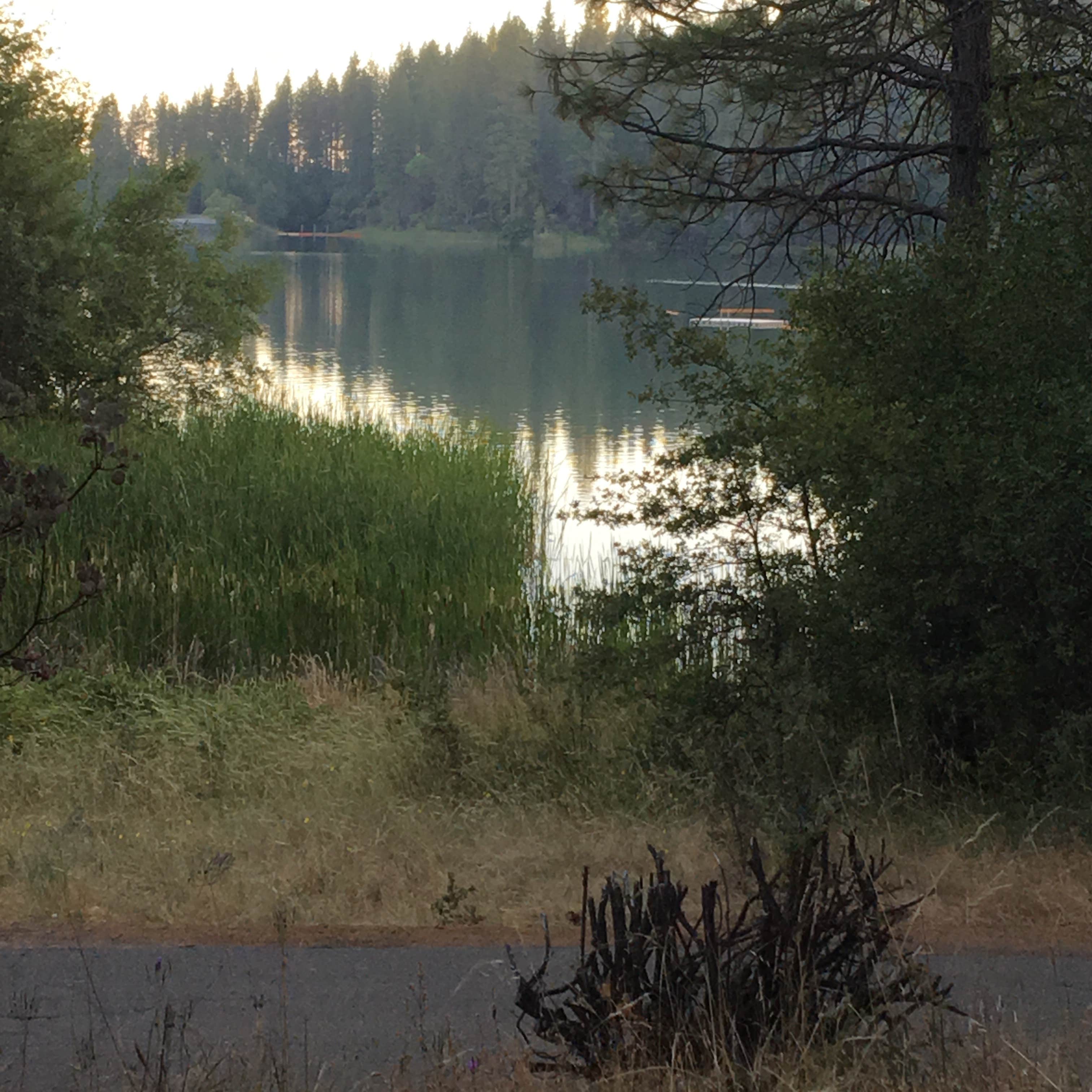 Camper-submitted photo at Lake Francis Resort near Camptonville, CA