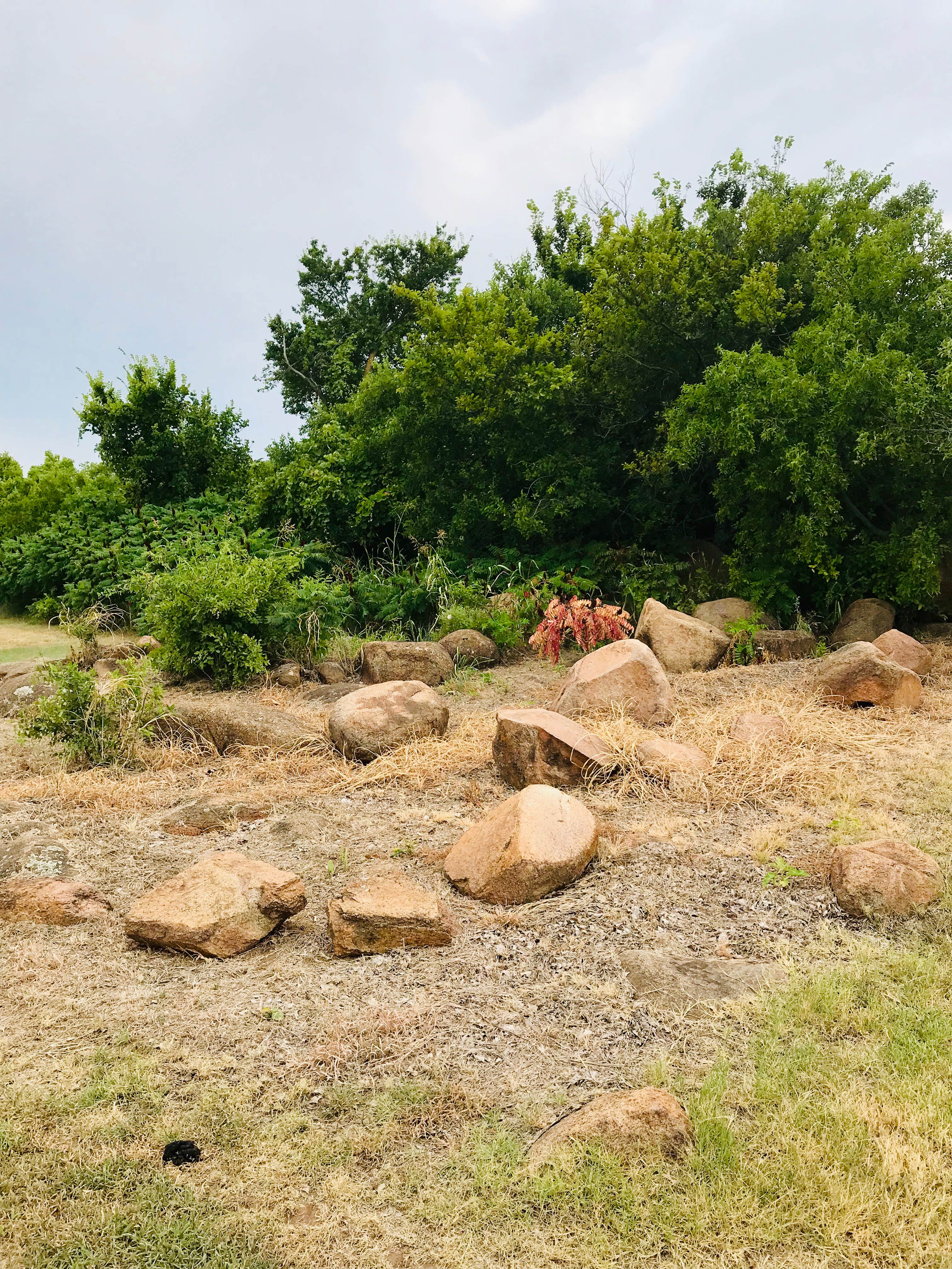 Camper submitted image from Great Plains State Park Campground - 5