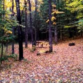 Review photo of Chequamegon National Forest Beaver Lake Campground by Hans E., April 6, 2022