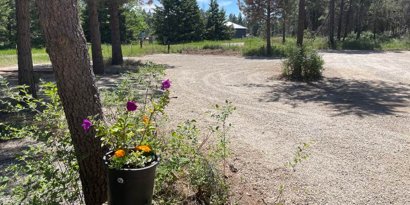 Camper submitted image from Nature Sings Farm and Gardens